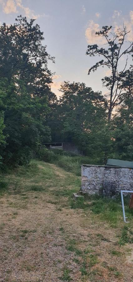 Bed and Breakfast Ancien Relais De Chasse A 35 Min Du Circuit 24H Du Mans Le Lude Exterior foto